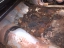 IMG-20150207-00252